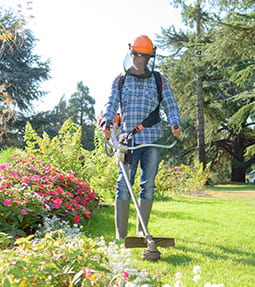 Les Jardins de Gingko : entretien jardin à Bondy, Neuilly-sur-Marne, Gagny (93) et Le Perreux-sur-Marne (94)