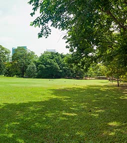 Les Jardins de Gingko : refonte terrain à Bondy, Neuilly-sur-Marne, Gagny (93) et Le Perreux-sur-Marne (94)