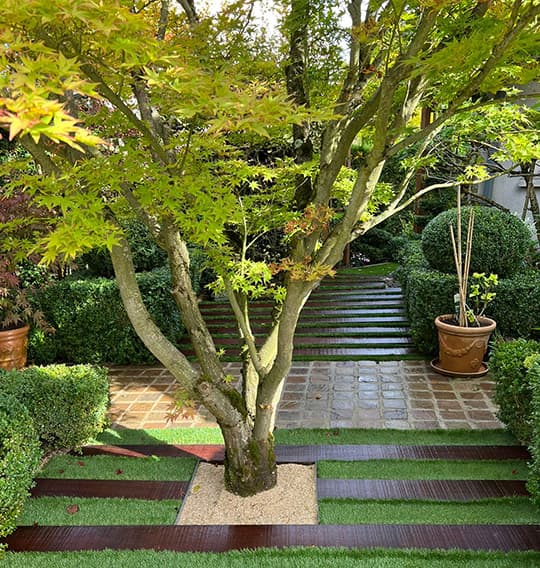 Les Jardins de Gingko : jardinage et aménagement paysager à Bondy, Neuilly-sur-Marne, Gagny (93) et Le Perreux-sur-Marne (94)