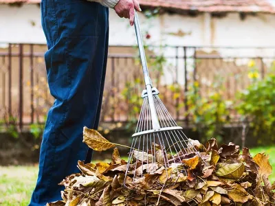 Personne en train de ratisser les feuilles mortes dans un jardin
