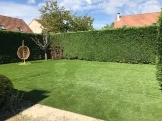 Pelouse bien entretenue entourée d’une haie dense dans un jardin résidentiel