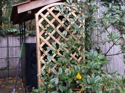 Treillage en bois fixé contre une clôture, intégré dans un espace extérieur végétalisé