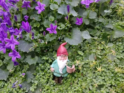 Décoration de jardin avec figurine et fleurs violettes dans un massif végétalisé