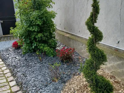 Massif de jardin avec arbustes taillés et paillage minéral pour un rendu structuré