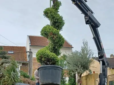 Arbuste taillé en spirale en cours d’installation à l’aide d’une grue dans un jardin résidentiel