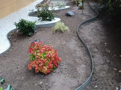 Jardin en préparation avec massifs de terre et haie en arrière-plan.