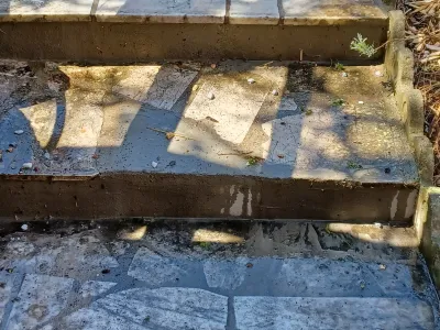 Terrasse ou marche en pierre mouillée, préparation pour aménagement extérieur.