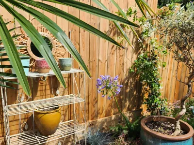 Treillis bois contre mur avec plantes grimpantes et pots décoratifs.