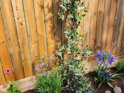 Treillis bois installé dans un coin du jardin avec végétation autour.