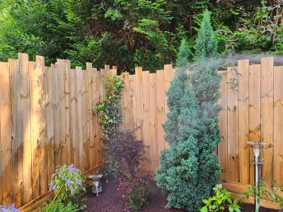Clôture bois avec conifère et arbustes, coin de jardin fleuri.