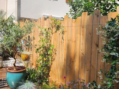 Treillis bois avec végétation en pots et plantes grimpantes.