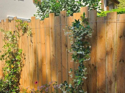 Palissade bois avec végétation grimpante et plantation en pot.