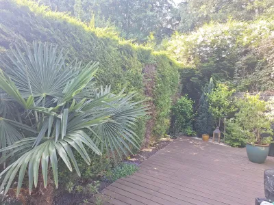 Terrasse bois avec palissade et plantation de palmier, vue de jour.