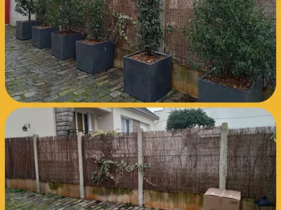 Allée pavée avec rangée de grands pots noirs contenant des arbustes et haie en arrière-plan