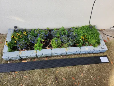 Jardin en bac avec fleurs colorées et bordure en béton.