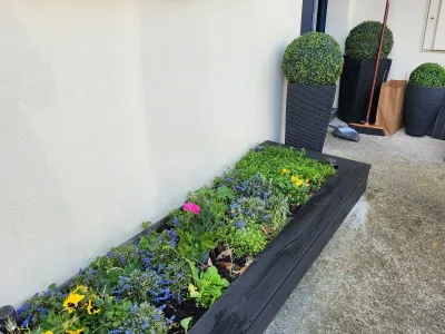 Bac à fleurs rectangulaire noir avec plantes décoratives contre un mur