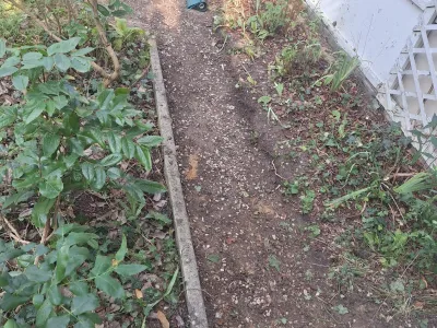 Parterre étroit avec terre nue et plantes le long d’un mur.