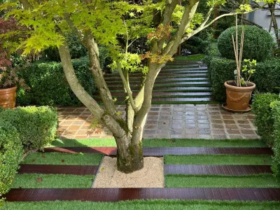 Jardin paysager avec cheminement en pas japonais, arbre central et plantations structurées