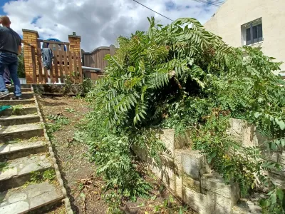 Talus et escalier extérieur avant travaux de nettoyage et débroussaillage