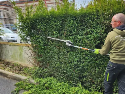 Homme en train de tailler une grande haie avec un taille-haie électrique