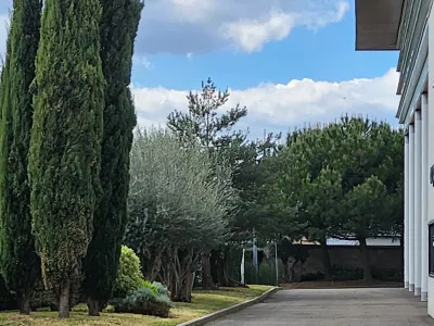 Allée de jardin bordée d’arbres et de haies bien entretenues