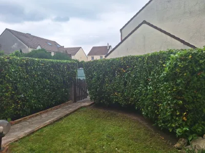 Haie dense le long d’un chemin de jardin avec portail au fond