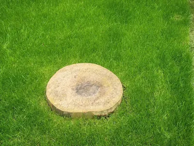 Gazon fraîchement posé avec une souche ou rondin au centre du jardin