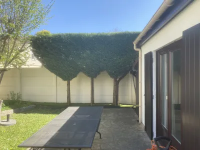 Jardin avec haies taillées en forme géométrique et pelouse soignée