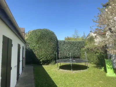 Jardin avec trampoline et haie taillée autour, pelouse verte et balançoire