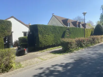 Rue bordée de haies bien entretenues avec maisons résidentielles en arrière-plan