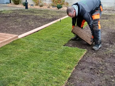 Pose de rouleaux de gazon naturel par un paysagiste dans un jardin