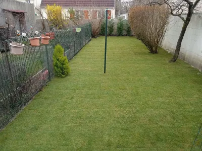 Jardin avec pelouse verte bien entretenue et clôture noire