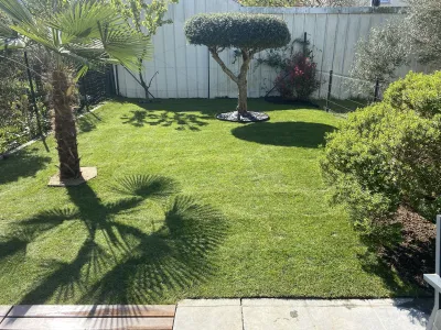 Pose de gazon en rouleaux sur un jardin avec arbres et arbustes