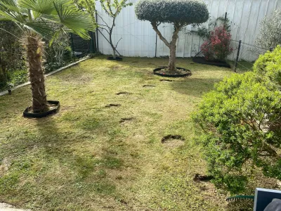 Jardin avant travaux avec pelouse existante et arbres en place
