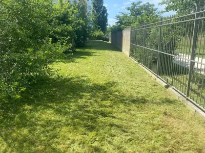 Pelouse étroite le long d’une clôture métallique avec arbres et buissons