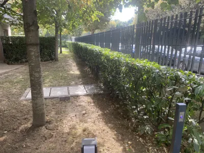 Allée bordée d’arbres et de haies avec pelouse et sol en terre
