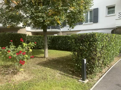 Petit jardin avec arbre et haie, arbuste à fleurs rouges sur pelouse