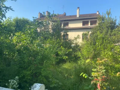 Jardin envahi par la végétation avant opération de débroussaillage