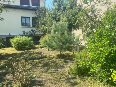 Jardin avec végétation dense et zones sèches avant travaux d’entretien paysager