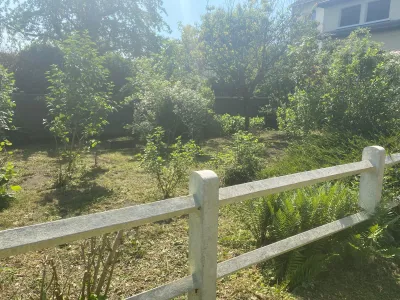 Espace vert en friche vu depuis une clôture avant intervention paysagère
