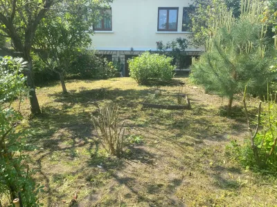 Jardin arboré avec sol sec et végétation clairsemée avant remise en état