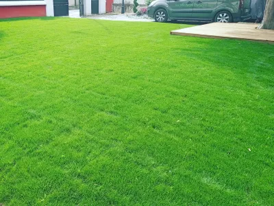 Pelouse verte fraîchement posée dans un jardin