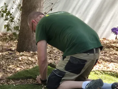 Pose de rouleaux de gazon par un jardinier dans un jardin ensoleillé