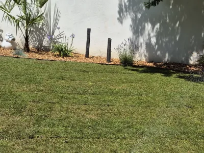 Gazon bien installé dans un jardin avec plantations le long du mur