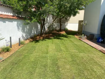 Jardin avec pelouse verte fraîchement posée et allée en bois