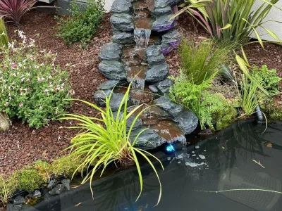 Bassin de jardin avec plantes, galets et petite cascade décorative