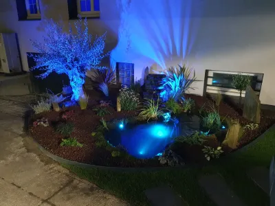 Bassin de jardin éclairé la nuit avec plantes et lumières décoratives bleues