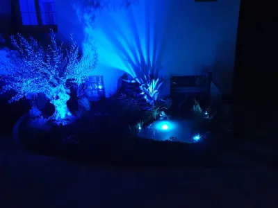 Bassin de jardin de nuit éclairé en bleu avec arbres et plantes décoratives