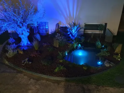 Vue nocturne d’un jardin avec bassin et éclairage bleu sur arbres et plantes