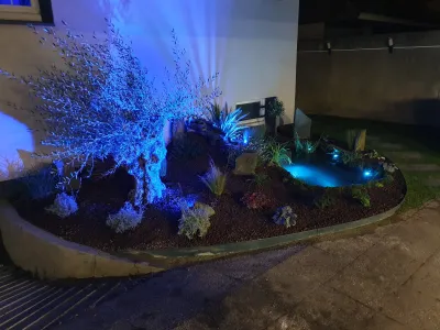 Aménagement paysager de nuit avec bassin et lumières bleues pour effet décoratif